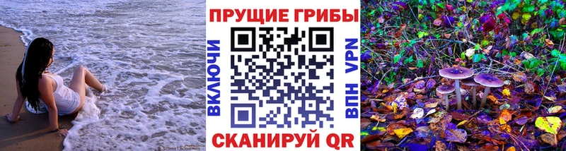 Псилоцибиновые грибы мицелий  нарко площадка Telegram  Можга 