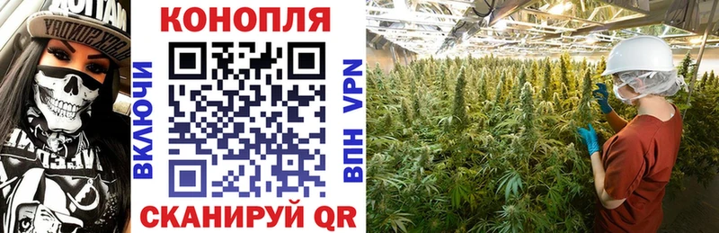 omg маркетплейс  купить наркотик  Можга  Каннабис планчик 